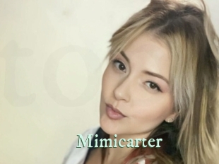 mimicarter Top Blog X