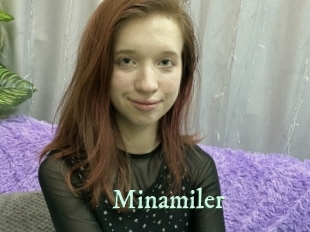 Minamiler