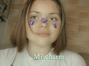 Mischarm