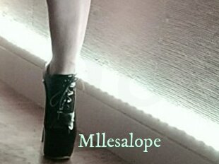 Mllesalope