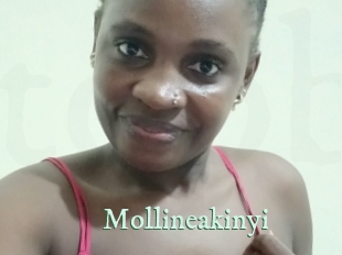 Mollineakinyi