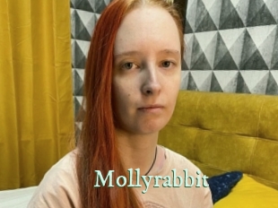 Mollyrabbit