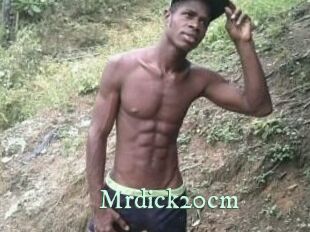 Mrdick20cm
