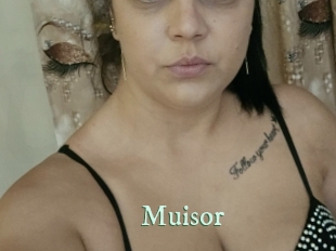 Muisor