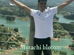 Mutachi_blosom