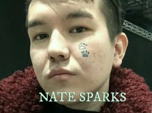 NATE_SPARKS