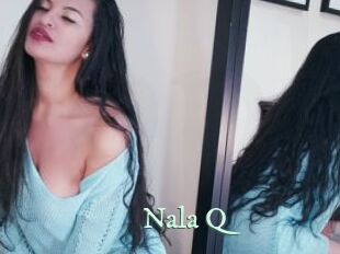 Nala_Q