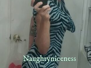 Naughtyniceness