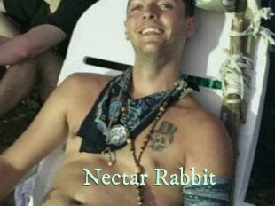 Nectar_Rabbit