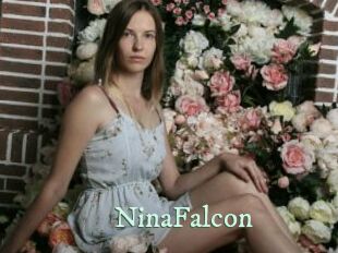 NinaFalcon Top Blog X