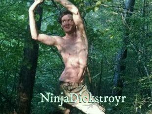 NinjaDickstroyr