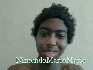 NintendoMarioMario