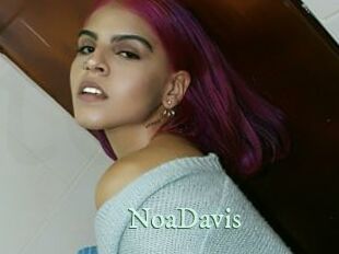 NoaDavis