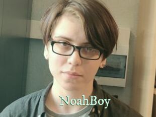 NoahBoy