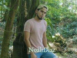 NoahDiaz