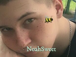 NoahSweet