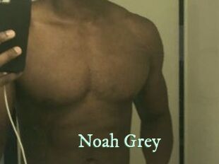 Noah_Grey