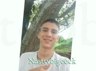 Nasttybigcock