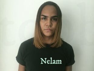 nelam Top Blog X