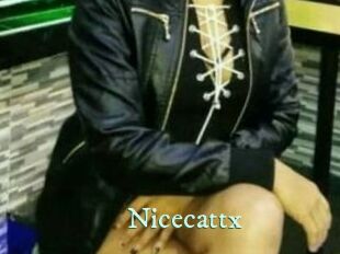 Nicecattx