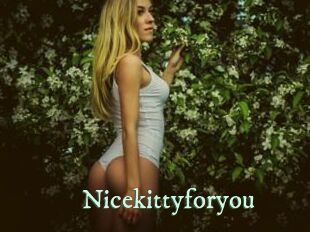 Nicekittyforyou