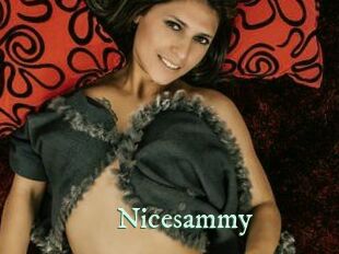 Nicesammy