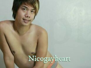 nicogayheart Top Blog X