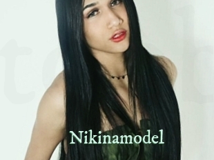 Nikinamodel