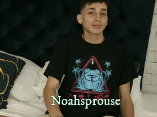 Noahsprouse