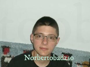 Norbertobadzso