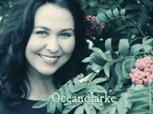 oceanclarke Top Blog X