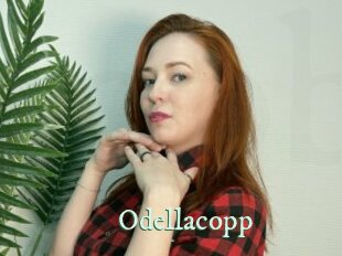 Odellacopp