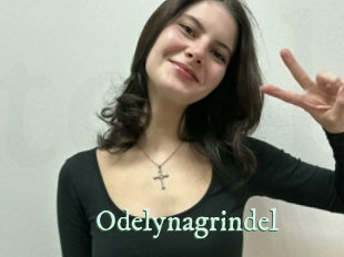 Odelynagrindel