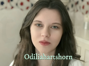 odiliahartshorn Top Blog X
