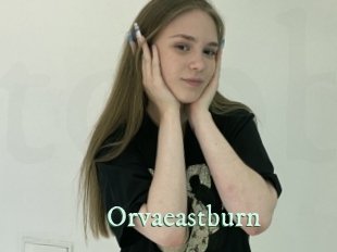 orvaeastburn Top Blog X