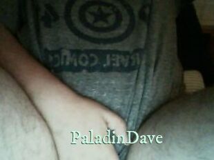 PaladinDave Top Blog X