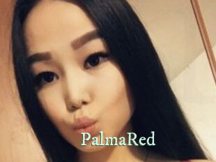 PalmaRed Top Blog X