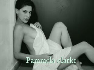 Pammela_clark1 Top Blog X