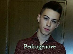 Pedrogenove