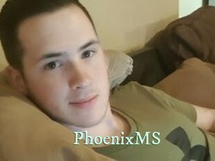 PhoenixMS