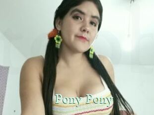 Pony_Pony Top Blog X