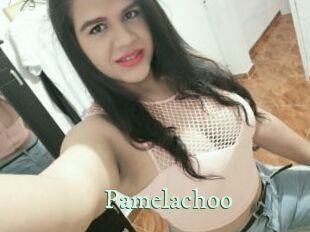 Pamelachoo