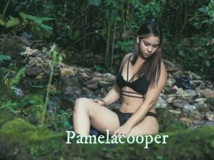pamelacooper Top Blog X