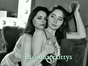 passionatekittys Top Blog X
