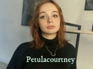 petulacourtney Top Blog X