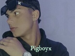 Pigboyx