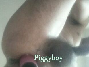 Piggyboy