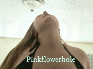 Pinkflowerhole