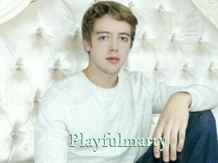 playfulmarty Top Blog X