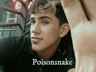 Poisonsnake